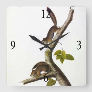Horloge Carrée Écureuil rouge américain (Colombien de Richardson)