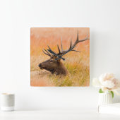 Horloge Carrée Élans (Cervus Elephus) se reposant dans l'herbe de (Maison)