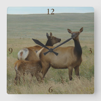 Horloge Carrée Élans et veau de la vache E61