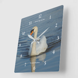 Horloge Carrée Elégant cygne muet sur le lac