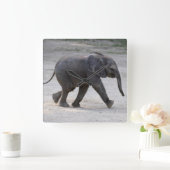 Horloge Carrée Eléphant bébé doux Kibali (Maison)