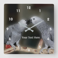 Embrasser le perroquet gris africain animal