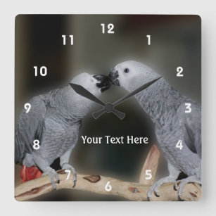 Horloge Carrée Embrasser le perroquet gris africain animal