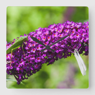 Horloge Carrée énergie katydone