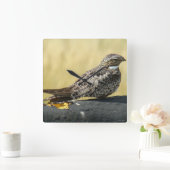 Horloge Carrée Engoulevent commun (Maison)