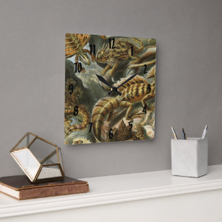 Horloge Carrée Ernst Haeckel, ancienne illustration de mode Lacer