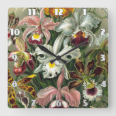 Horloge Carrée Ernst Haeckel Art Imprimer : Orchidae Oncidiums, t (Recto)