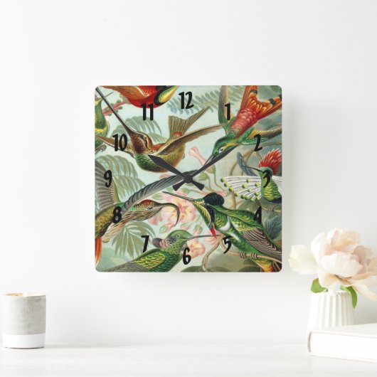 Horloge Carrée Ernst Haeckel Art Imprimer : Trochilidae (Maison)