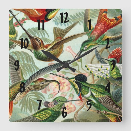 Horloge Carrée Ernst Haeckel Art Imprimer : Trochilidae (Recto)