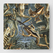 Horloge Carrée Ernst Haeckel variété de grenouilles exotiques : B (Recto)