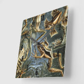 Horloge Carrée Ernst Haeckel variété de grenouilles exotiques : B (Angle)