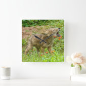 Horloge Carrée États-Unis, Minnesota, Sandstone, Minnesota Wildli (Maison)