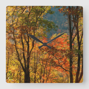 Horloge Carrée États-Unis, Tennessee. Feuillage d'automne