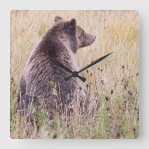 Horloge Carrée États-Unis, Wyoming, Parc national de Yellowstone,