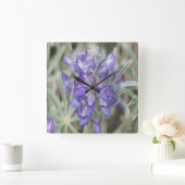 Horloge Carrée F18 Lupine annuelle des Fleurs sauvages pourpres (Maison)