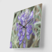 Horloge Carrée F18 Lupine annuelle des Fleurs sauvages pourpres (Angle)