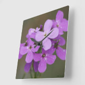 Horloge Carrée F19 Fleurs sauvages violettes Dames Rocket (Angle)