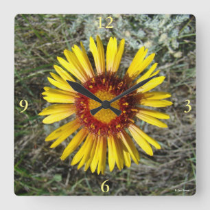 Horloge Carrée F1 Fleur sauvage jaune Gaillardia
