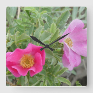 Horloge Carrée F4 Roses Sauvages