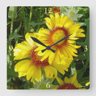 Horloge Carrée F6 Fleurs sauvages jaunes Gaillardia