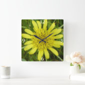 Horloge Carrée F9 Barbe Fleur sauvage jaune Tragopogon dubius (Maison)