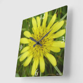 Horloge Carrée F9 Barbe Fleur sauvage jaune Tragopogon dubius (Angle)