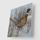 Horloge Carrée Faisan B23 Anneau-étranglé dans la neige (Angle)