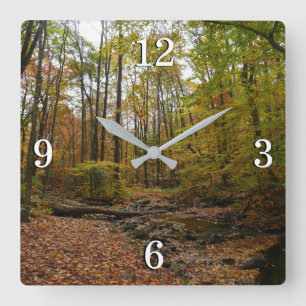 Horloge Carrée Fall Creek dans le parc national Laurel Hill State