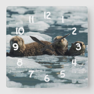 Horloge Carrée Famille de loutre de mer
