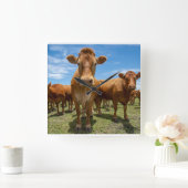 Horloge Carrée Farms | Brown cow (Maison)