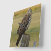 Horloge Carrée Faucon de B33 Swainson (Angle)