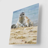 Horloge Carrée Faune Plage de phoques La Jolla Cove (Angle)