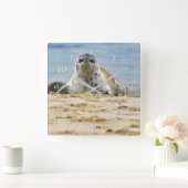 Horloge Carrée Faune Plage de phoques La Jolla Cove (Maison)