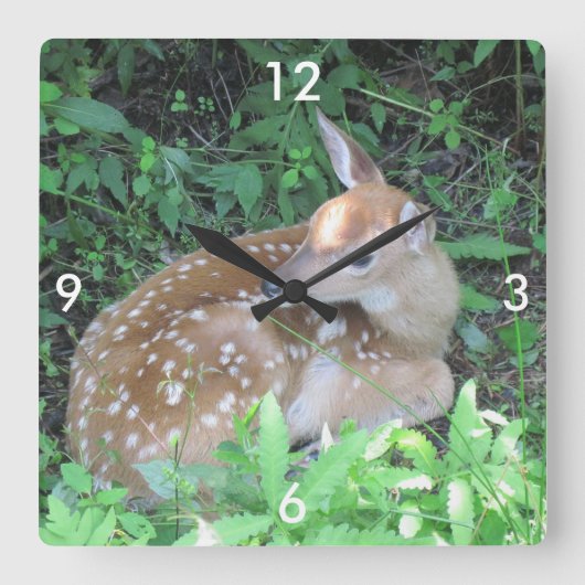 Horloge Carrée Fawn Wall Clock (Recto)