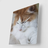 Horloge Carrée (Feline Fancy) Contemplation Kitty : Photo Cat (Angle)