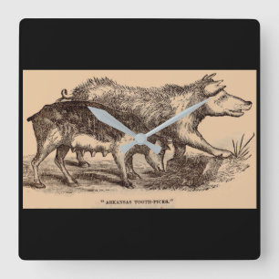 Horloge Carrée ferme du 19e siècle poster de animal porc imprimer