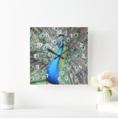 Horloge Carrée Fier comme un paon (Maison)