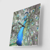 Horloge Carrée Fier comme un paon (Angle)