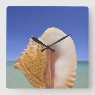 Horloge Carrée Fin de Shell de mer