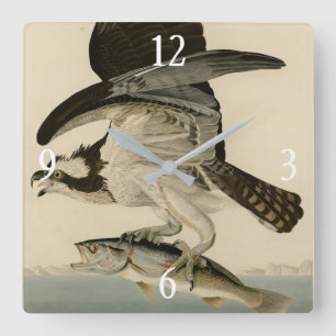 Horloge Carrée Fish Hawk, Osprey, d'Audubon's Birds of America