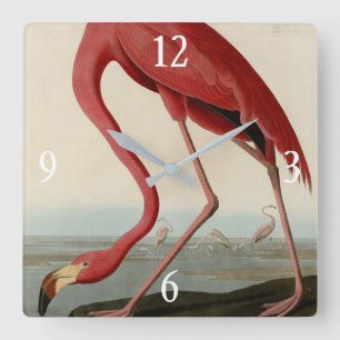 Horloge Carrée Flamant rose américain d'Audubon's Birds of Americ
