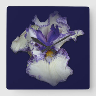 Horloge Carrée Fleur bleue et blanche d'iris barbu