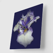 Horloge Carrée Fleur bleue et blanche d'iris barbu (Angle)
