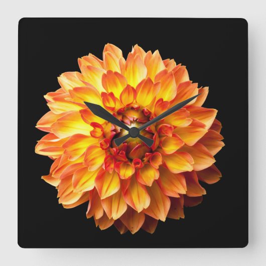 Horloge Carrée Fleur Dahlia florale (Recto)