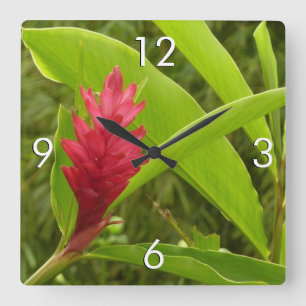 Horloge Carrée Fleur de gingembre rouge (Alpinia) tropicale