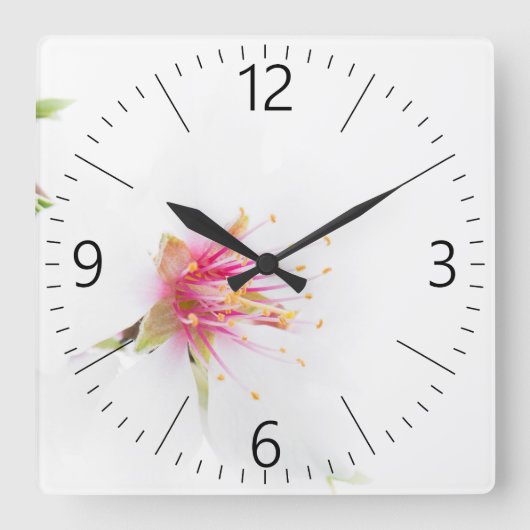 Horloge Carrée Fleur de l'amandier (Recto)