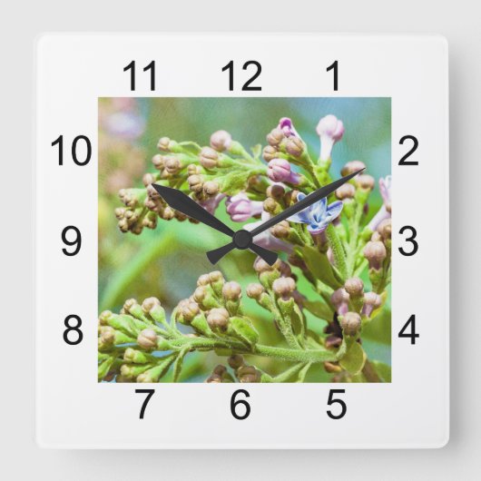 Horloge Carrée Fleur de lilas - Primus Inter Pares (Recto)