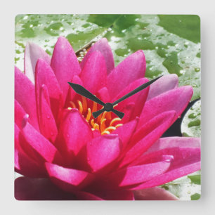 Horloge Carrée Fleur de nénuphar