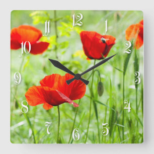 Horloge Carrée Fleur de pavot rouge sauvage