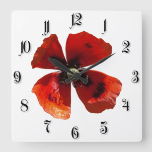 Horloge Carrée Fleur de pavot rouge simple